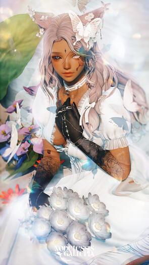 ✧ ✧