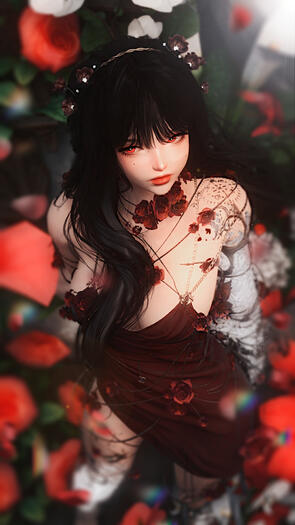 ✧ ✧