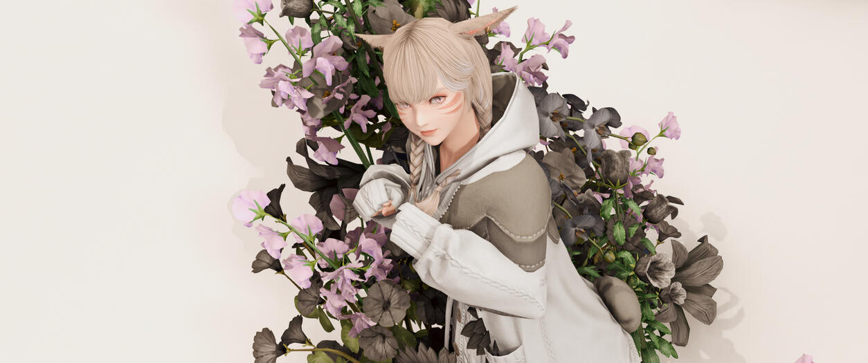 ✧ ✧