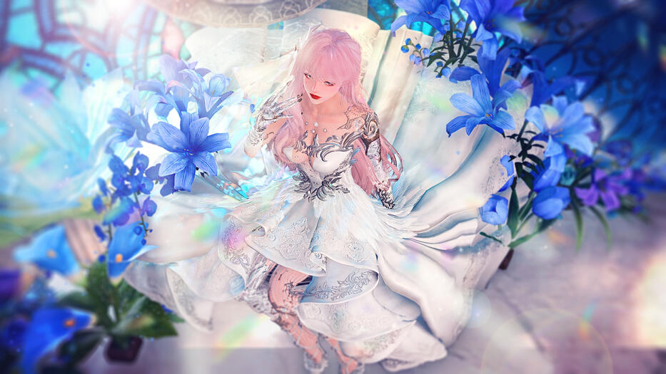 ✧ ✧