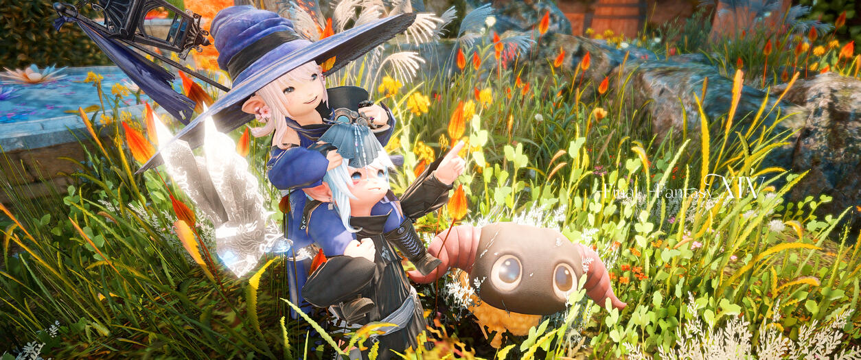 ✧ ✧
